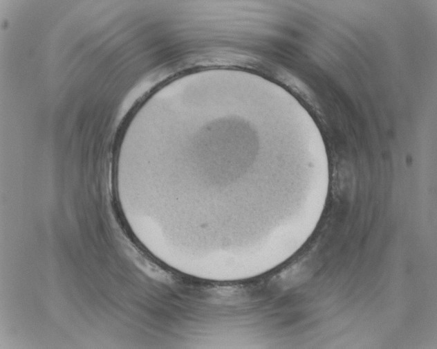 X0000062911130200602031850