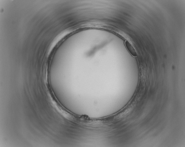 X0000062911131200602031850