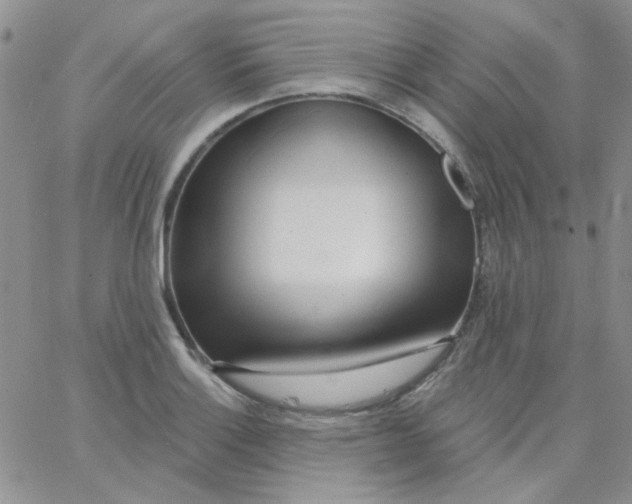 X0000062911132200602031850