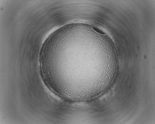 X0000062911133200602031850