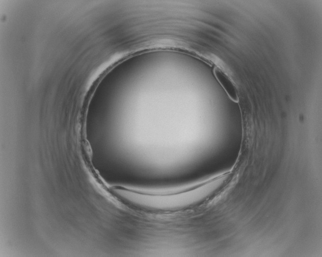 X0000062911134200602031850