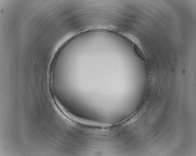 X0000062911135200602031850