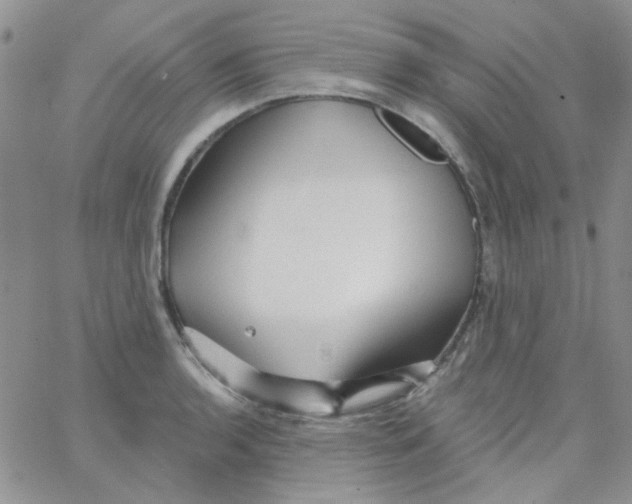 X0000062911136200602031850