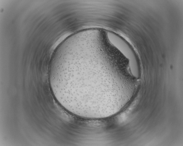 X0000062911137200602031850