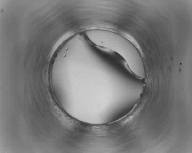 X0000062911138200602031850