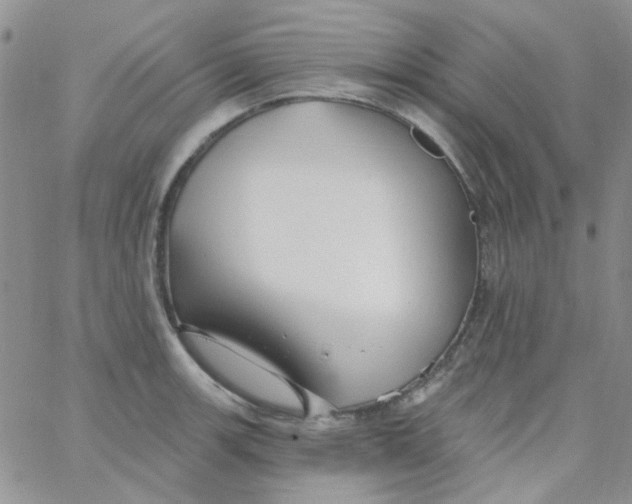 X0000062911139200602031850