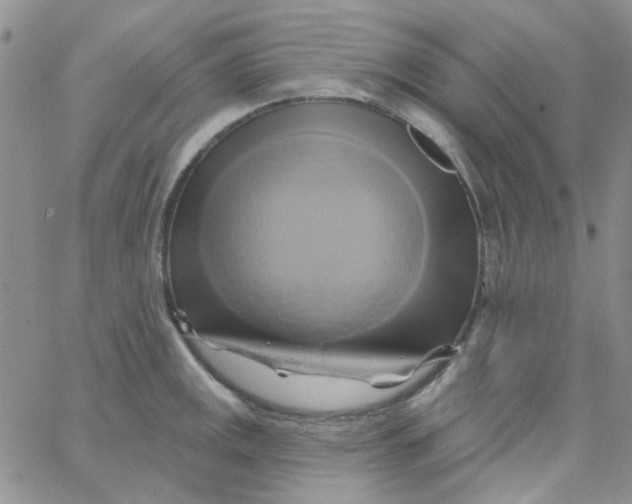 X0000062911141200602031850