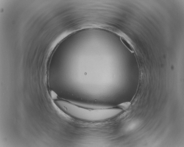 X0000062911143200602031850