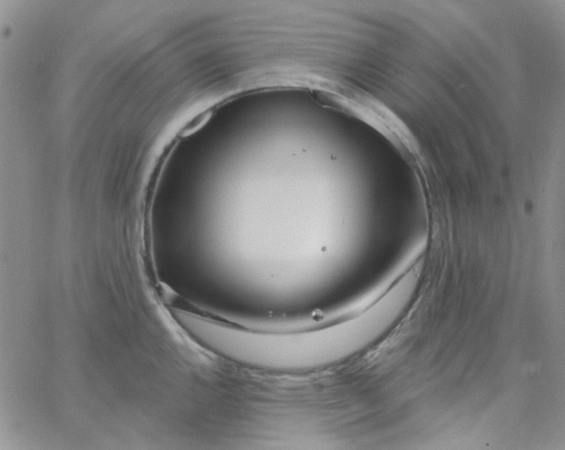 X0000062911144200602031850