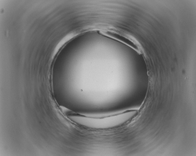 X0000062911146200602031850