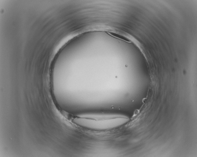 X0000062911147200602031850