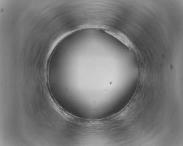 X0000062911148200602031850