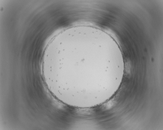 X0000062911150200602031851