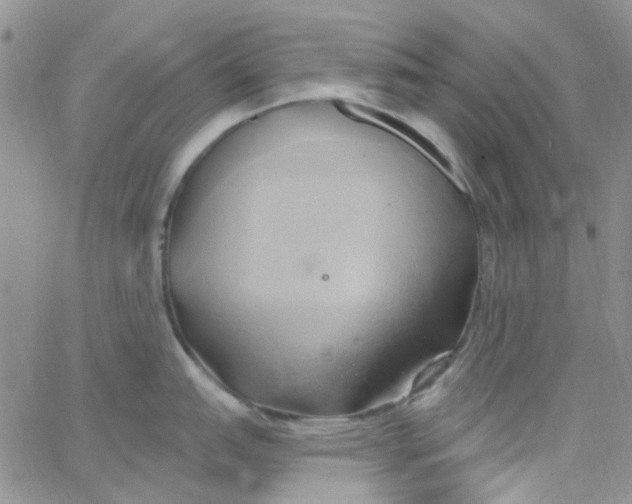 X0000062911151200602031851