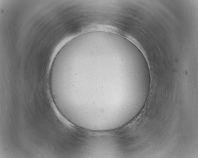 X0000062911152200602031851