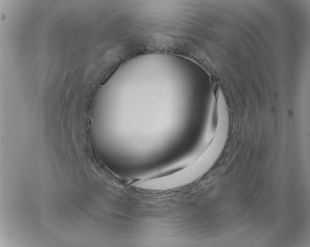 X0000062911153200602031850