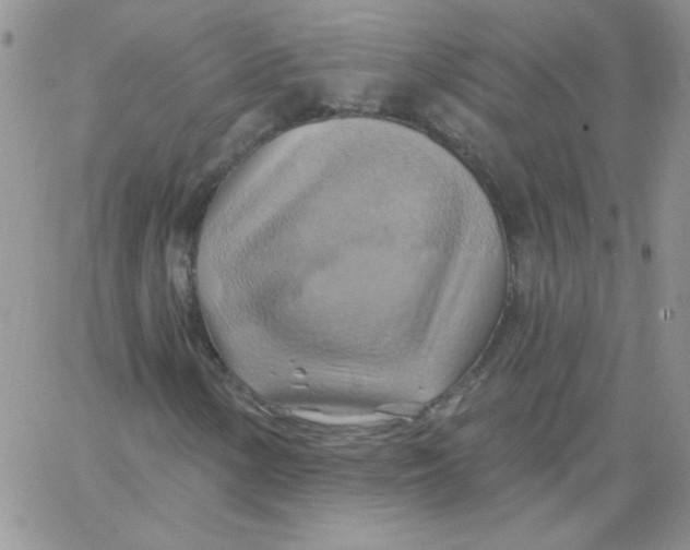 X0000062911154200602031850