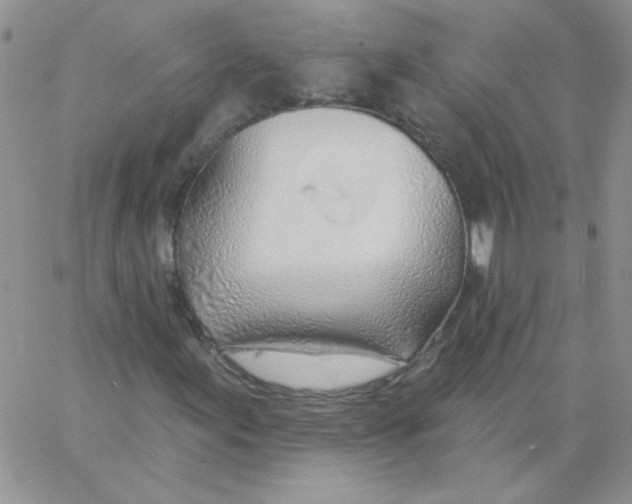 X0000062911155200602031850