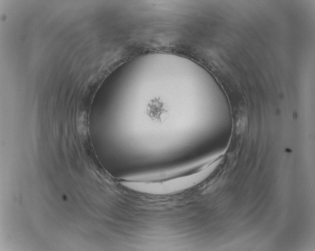 X0000062911156200602031850