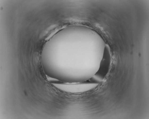 X0000062911157200602031850