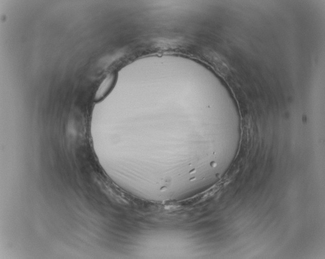 X0000062911158200602031850