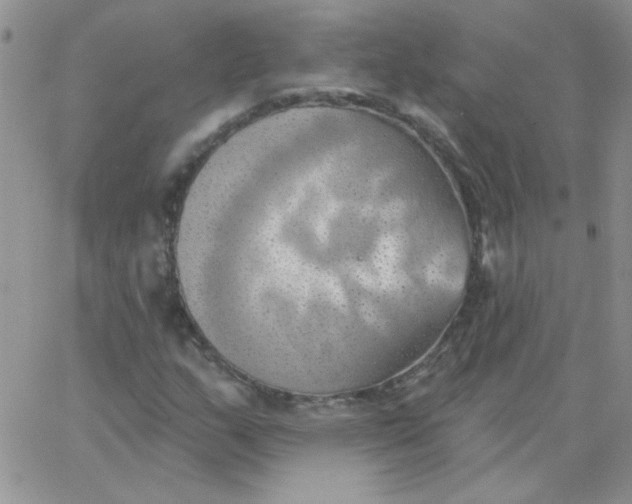 X0000062911159200602031850