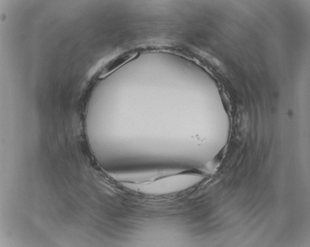 X0000062911160200602031850