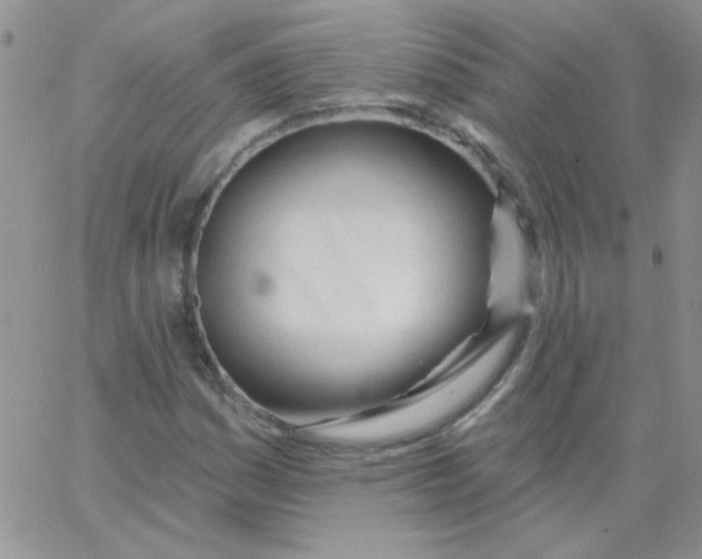 X0000062911161200602031850