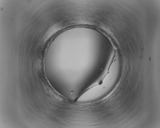 X0000062911163200602031850