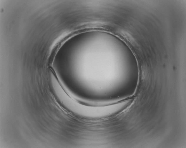 X0000062911164200602031850