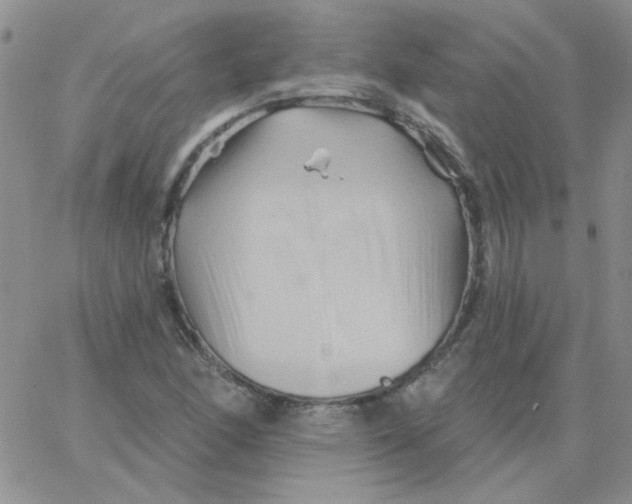 X0000062911166200602031850