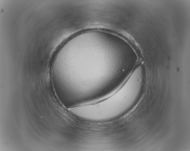 X0000062911167200602031850