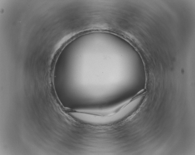 X0000062911168200602031850