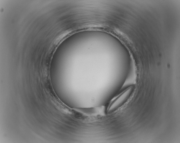 X0000062911169200602031850