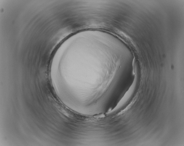 X0000062911170200602031850