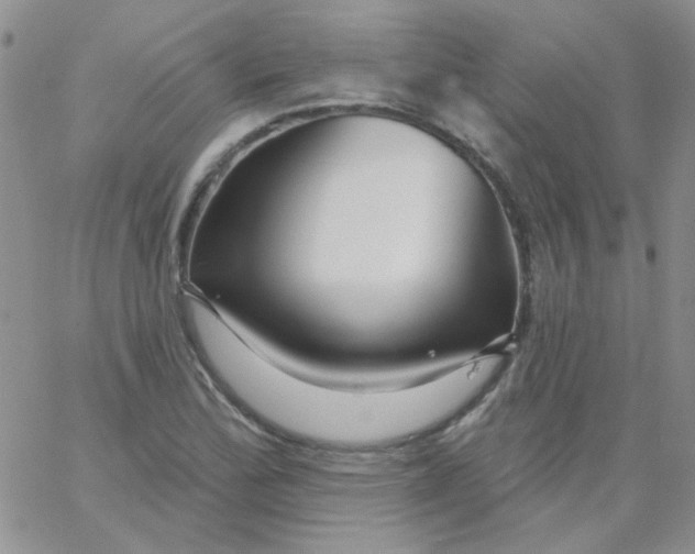 X0000062911172200602031849