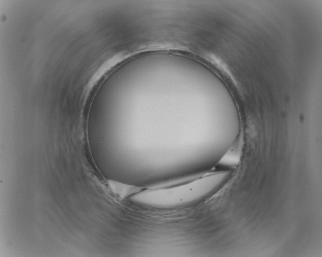 X0000062911173200602031849