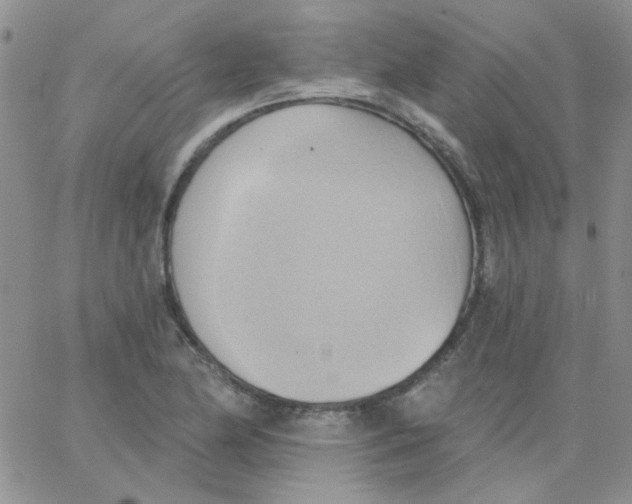 X0000062911174200602031849