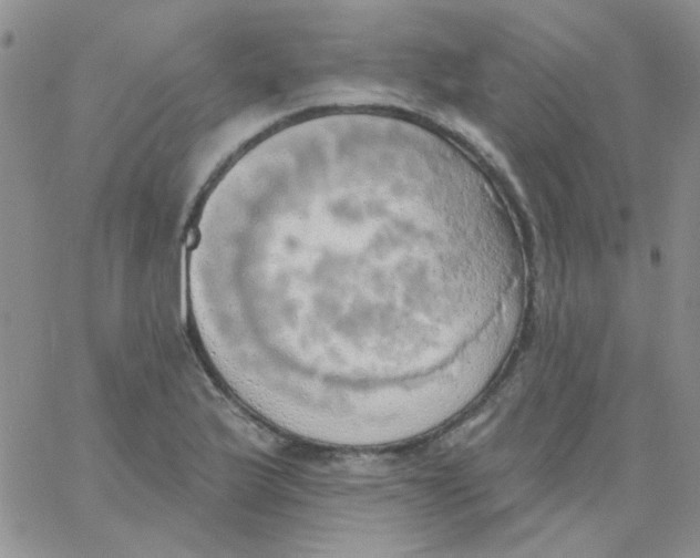 X0000062911175200602031849