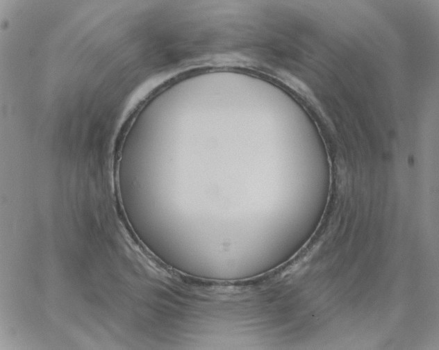 X0000062911176200602031849