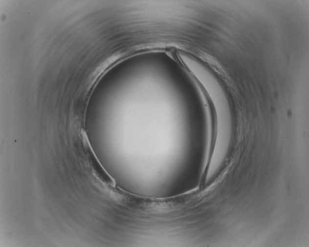 X0000062911177200602031849