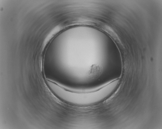 X0000062911180200602031849