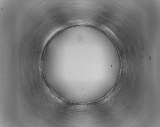 X0000062911182200602031849