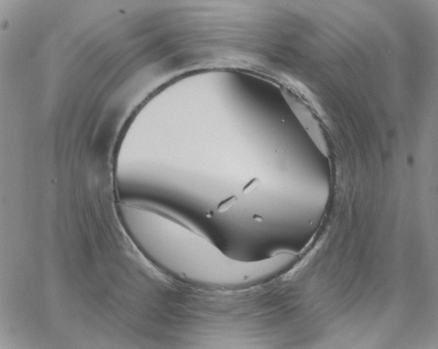 X0000062911184200602031849