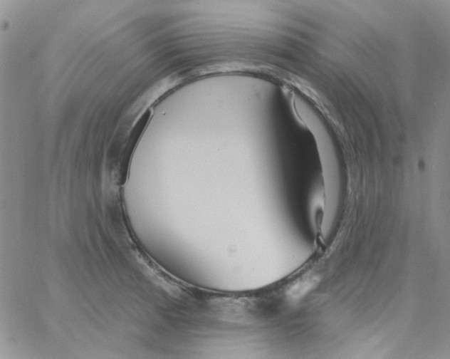 X0000062911185200602031849