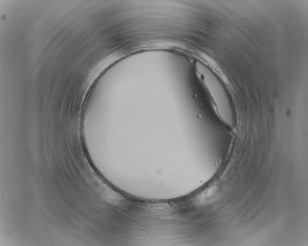 X0000062911186200602031849