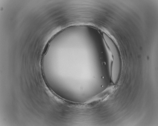 X0000062911189200602031849