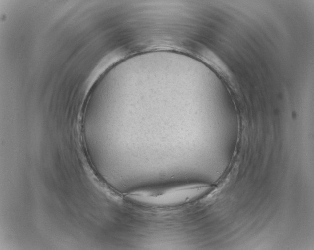 X0000062911190200602031849