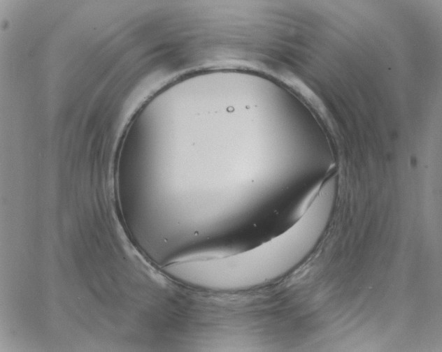 X0000062911191200602031849