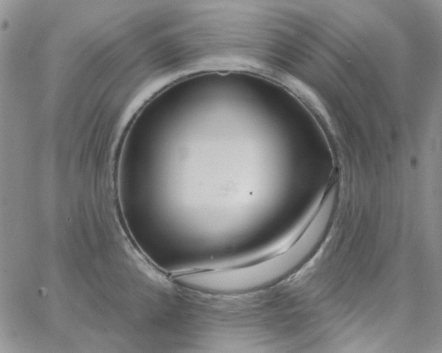 X0000062911192200602031849